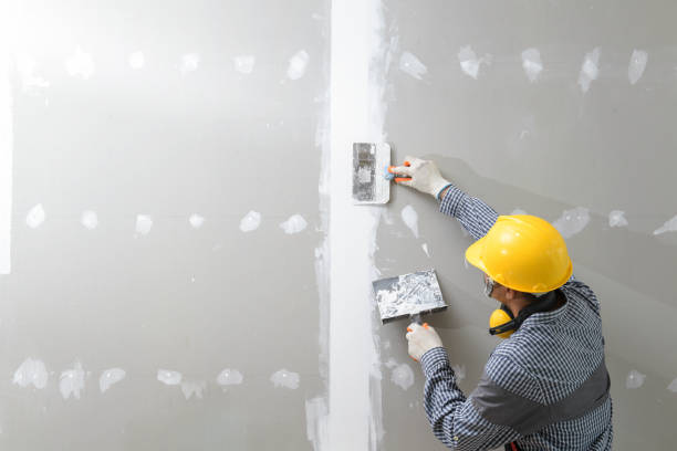 Best Custom Drywall Designs  in Odenton, MD